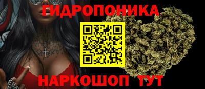 трава Камышлов