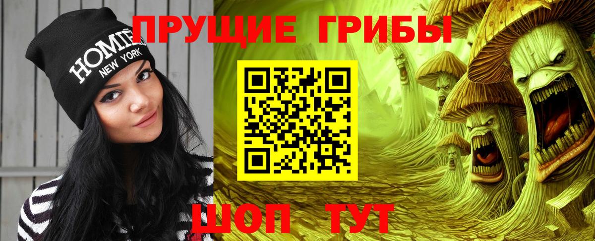 Галлюциногенные грибы мицелий Курчатов